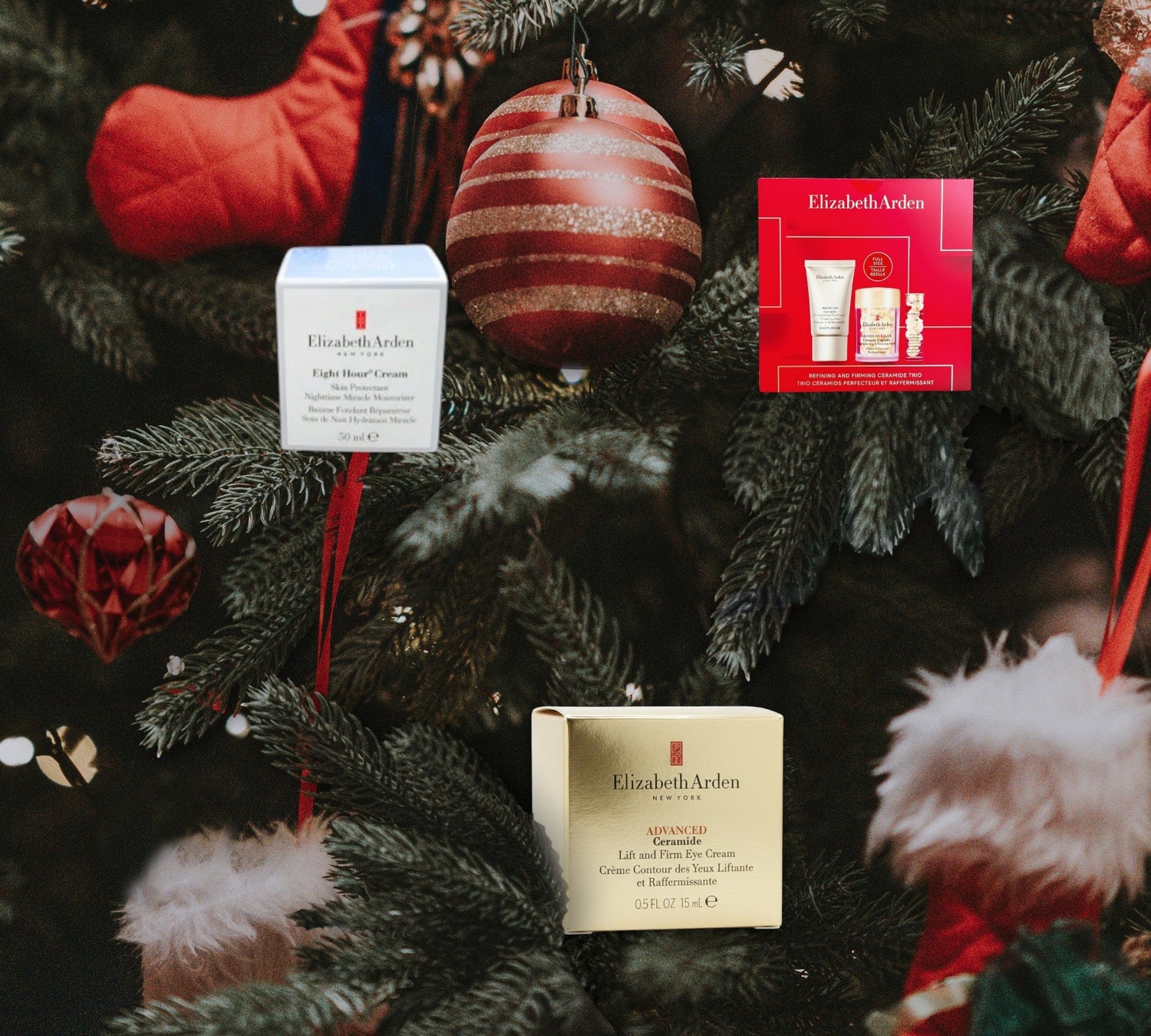 🎄 Weihnachts-Highlight